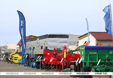 Началась большая командировка Лукашенко в Гомельскую область