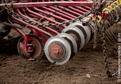 В Беларуси засеяна треть площадей яровых культур