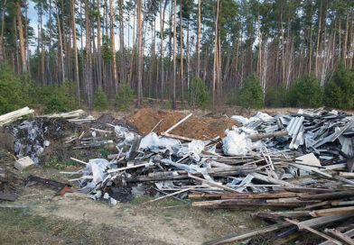 Более 7,5 тысяч рублей возмещено за вред окружающей среде по требованию прокуратуры Гомельской области