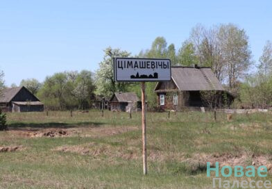 Жыццё без зайздрасці і злосці. Як сёння жыве вёска Цімашэвічы
