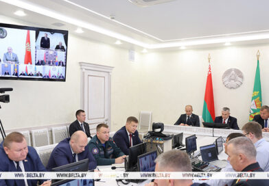 «В целом ожидаем вместе с кукурузой 1,55 млн тонн». Крупко о планах жатвы-2026 в Гомельской области