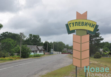 Притяжение родной земли. Как сегодня живет деревня Гулевичи Притяжение родной земли. Как сегодня живет деревня Гулевичи