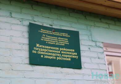Иммунитет флоры под их контролем: один день со специалистами Житковичской районной государственной инспекции по семеноводству, карантину и защите растений