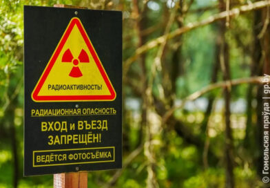 Гомель и Лельчицы – вне «зоны». В Беларуси обновлен перечень населенных пунктов и объектов, находящихся на территории радиоактивного загрязнения Гомель и Лельчицы – вне «зоны». В Беларуси обновлен перечень населенных пунктов и объектов, находящихся на территории радиоактивного загрязнения