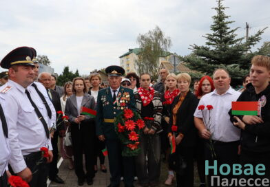 В День народного единства в Житковичах прошли праздничные мероприятия В День народного единства в Житковичах прошли праздничные мероприятия
