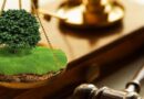 Земельные споры: что изменилось Земельные споры: что изменилось